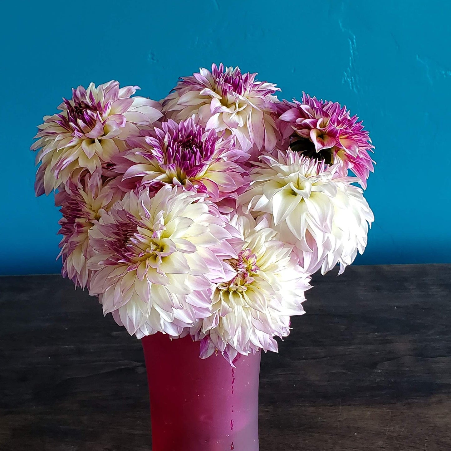 Bloomquist Jody Lynn