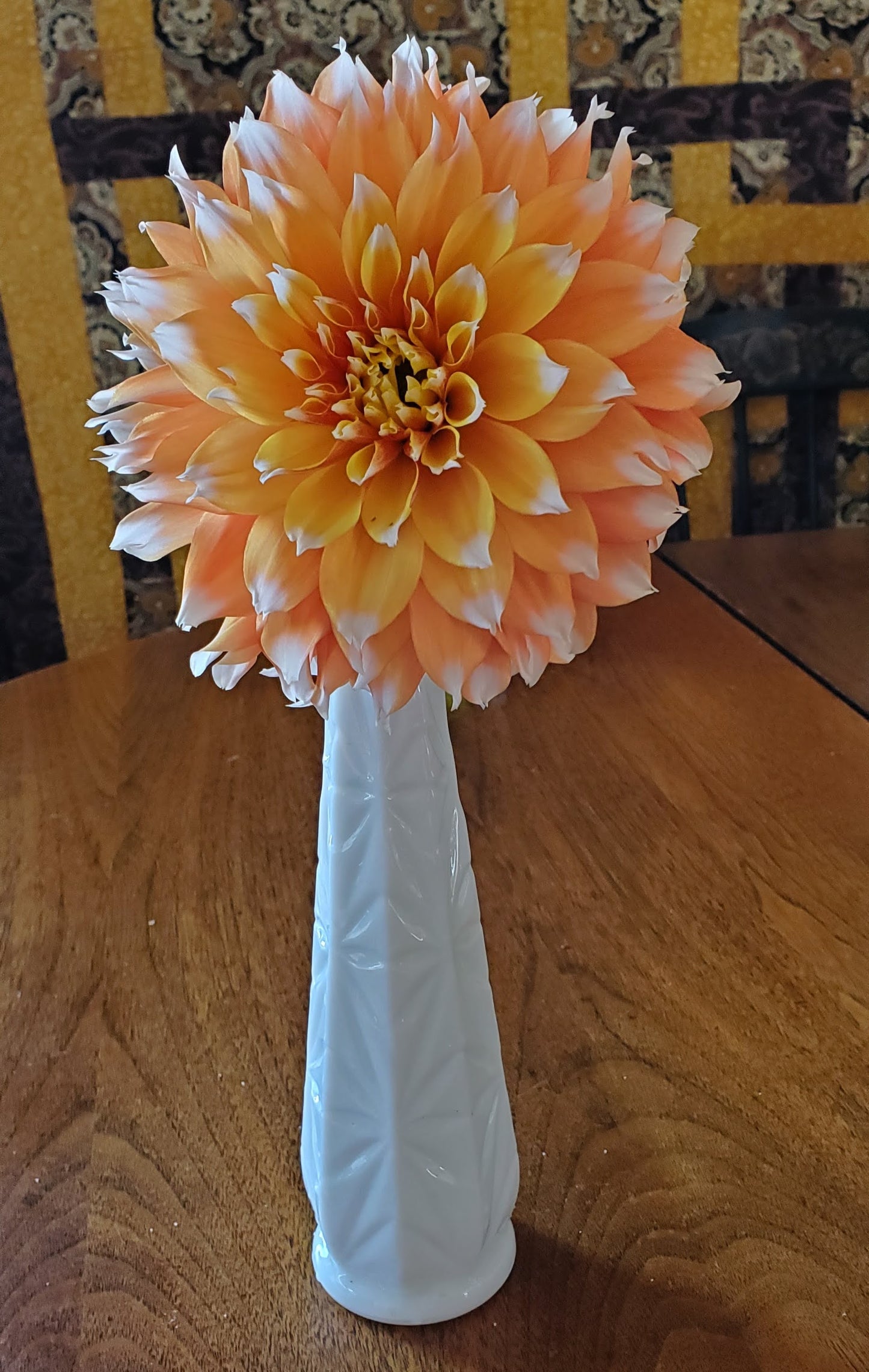 Bloomquist Candy Corn