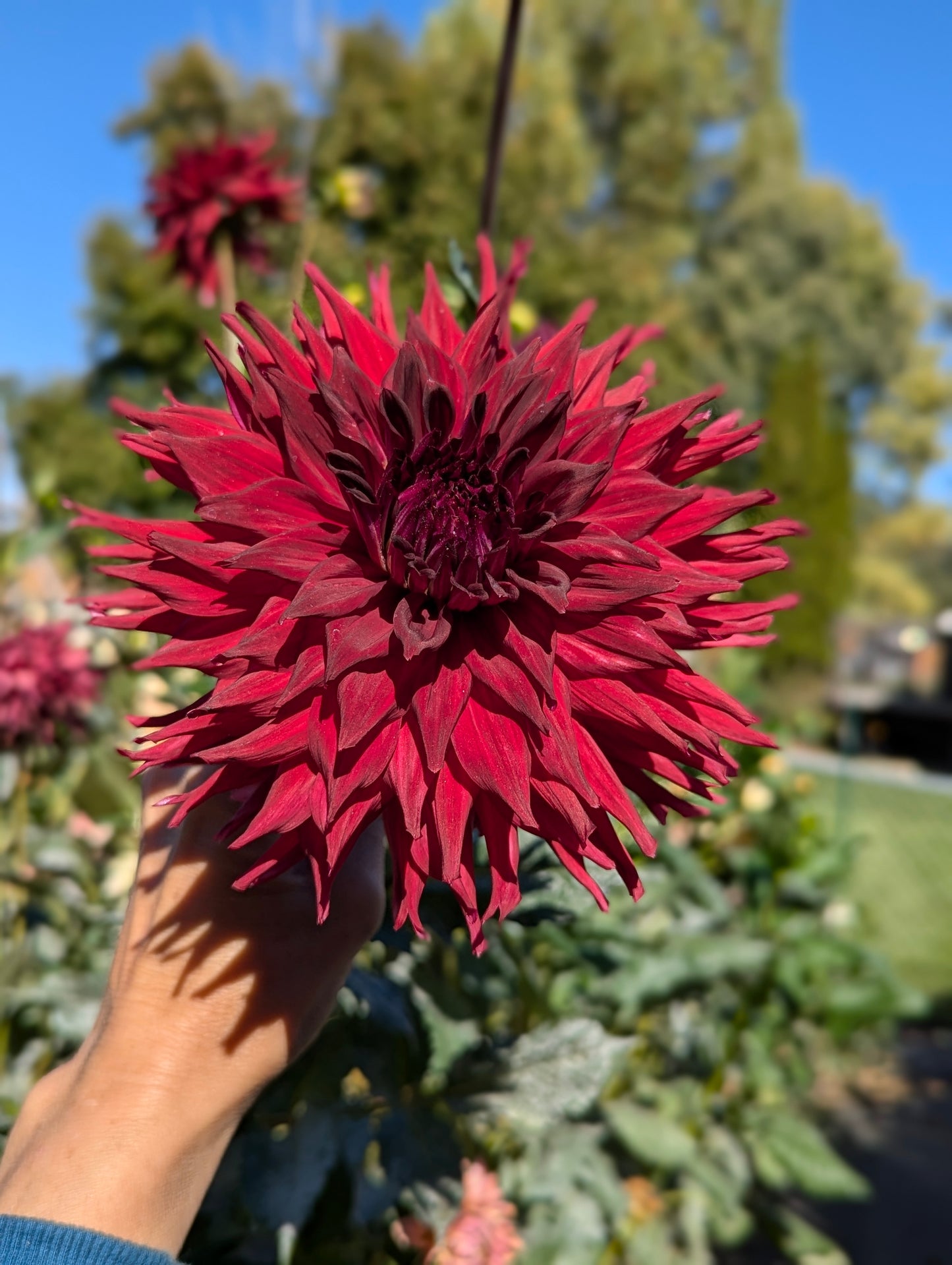 Bloomquist Quill