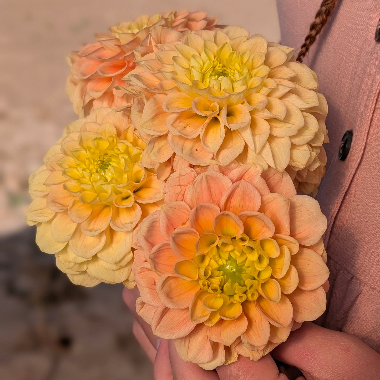 Ferncliff Honeycomb