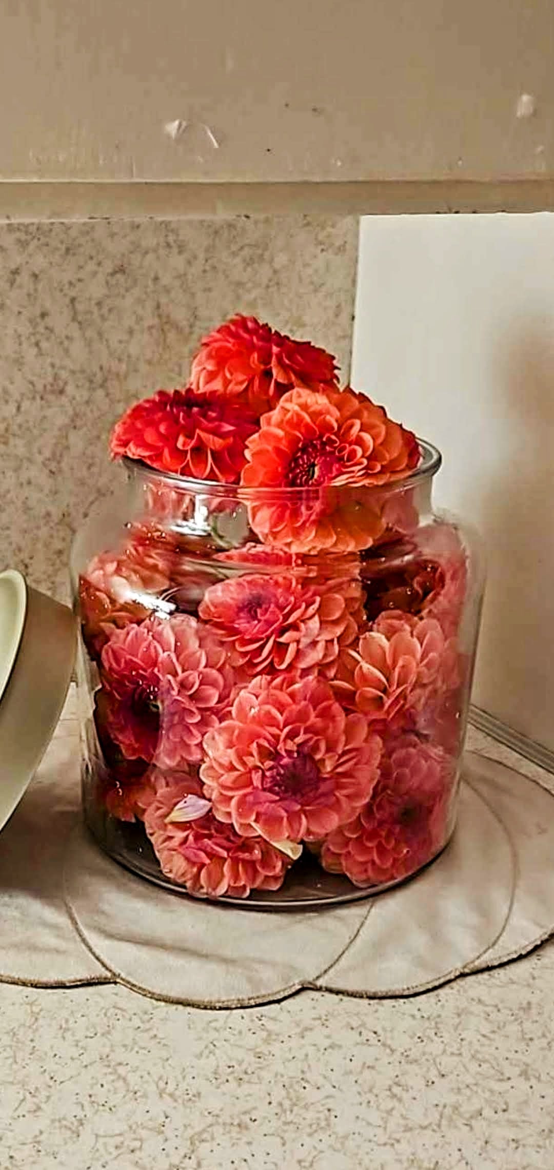 KA's Blood Orange