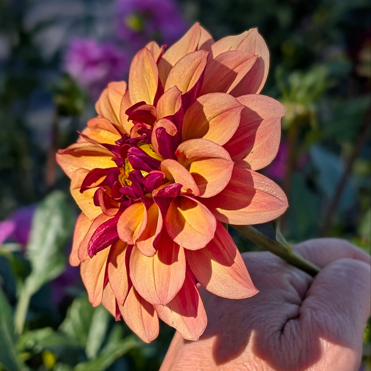 Creme de Cognac